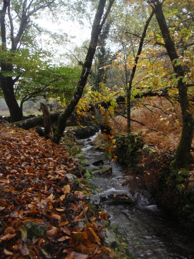Chez Louise: Onde A Serra Beija O Ceu * Lousa (Central Portugal)