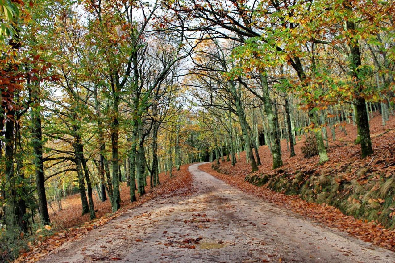Homestay Chez Louise: Onde A Serra Beija O Ceu Lousa (Central Portugal)